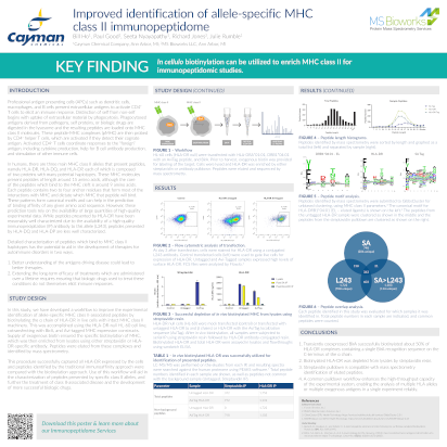 <p>​Improved Identification of Allele-specific MHC class II Immunopeptidome<br></p>